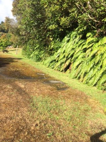 Tekoa Lodge Raurimu Buitenkant foto