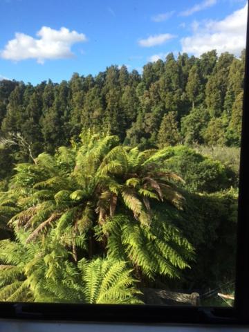 Tekoa Lodge Raurimu Buitenkant foto